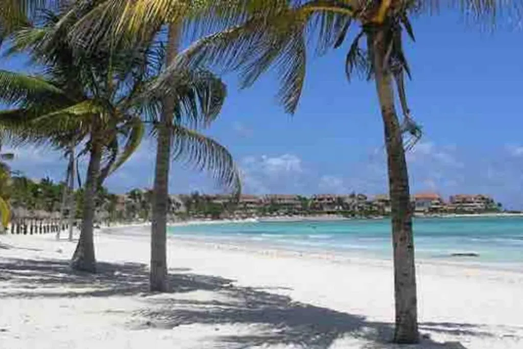 Little Caribbean Treetop Loft Puerto Aventuras Apartman